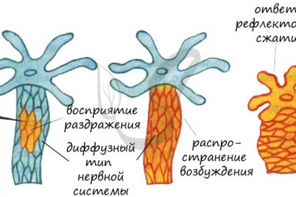 Магазин кракен дарк