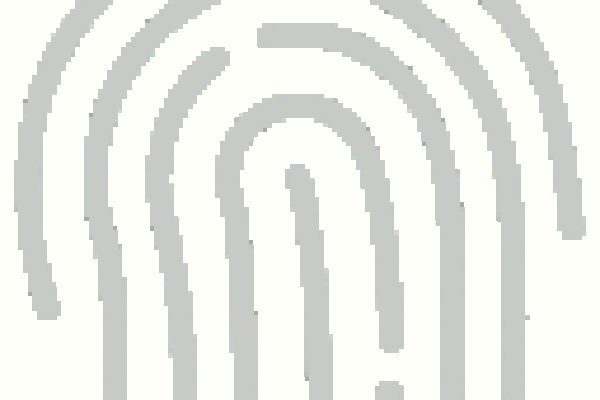 Кракен онион тор