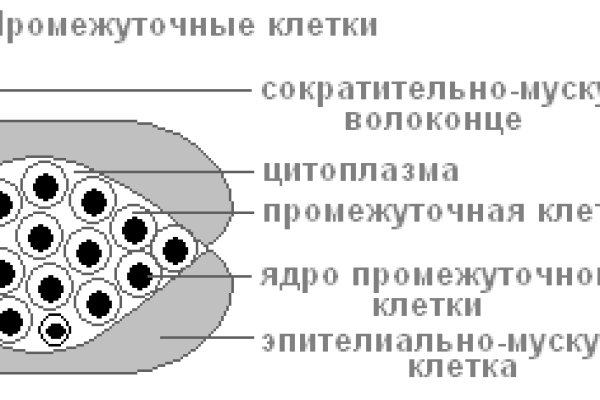 Что с кракеном сегодня сайт