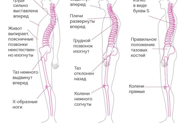 Ссылка кракен сегодня