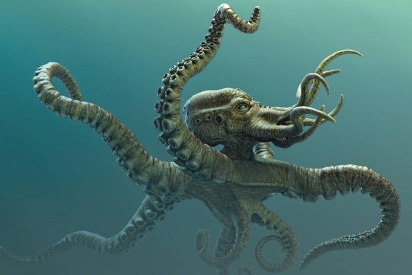 Kraken площадка