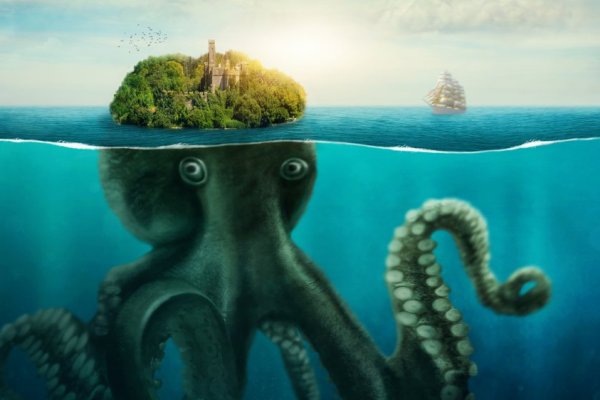 Kraken найдется все