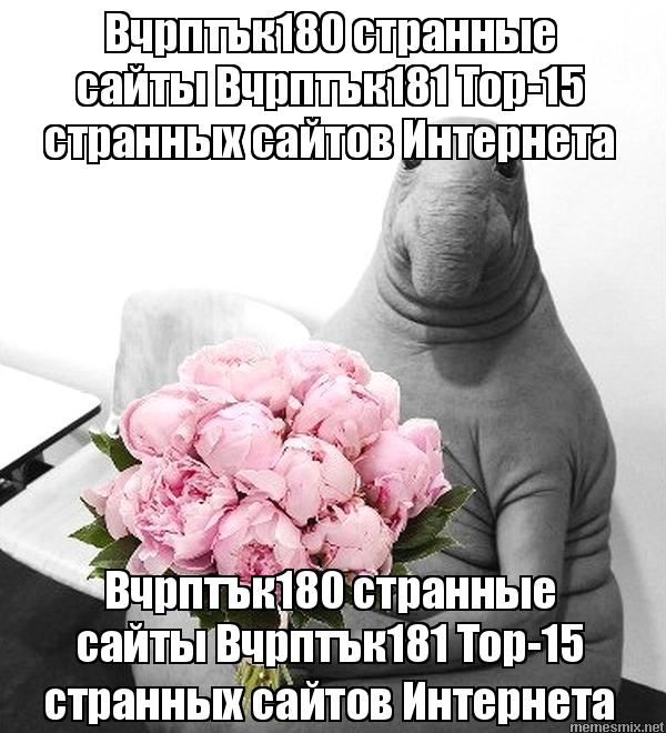 Как выводить деньги с кракена