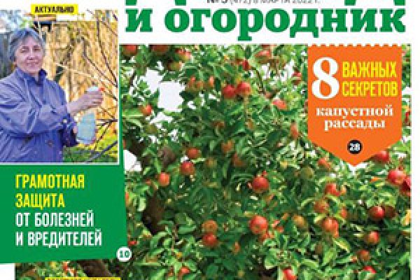 Кракен сайт kr2web